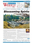 Mainichi Weekly（毎日ウィークリー）