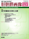 肝胆膵画像