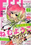 フィールヤング