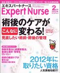 エキスパートナース（増刊号込み）