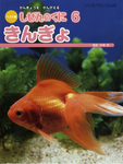 しぜんのくに