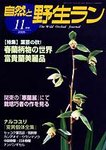 自然と野生ラン