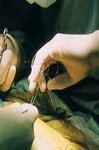 インサイドヒューマンボディー DVD （Inside Human Body）（改訂版）