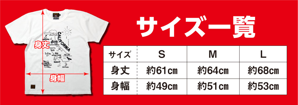 ライトニT