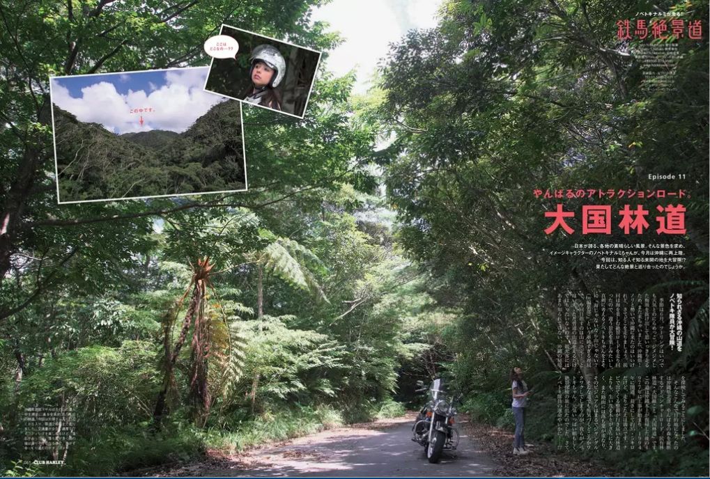鉄馬絶景道 沖縄北部の密林を ハーレー探検!?