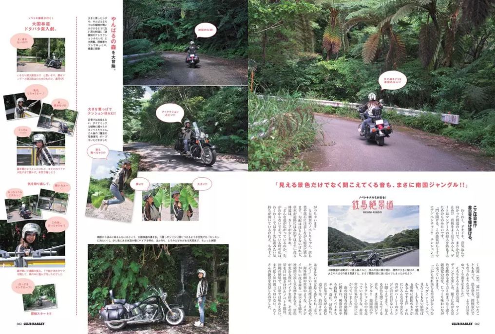 鉄馬絶景道 沖縄北部の密林を ハーレー探検!?