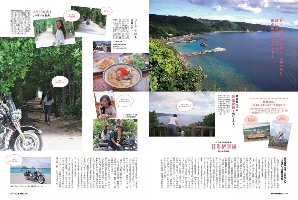 鉄馬絶景道 沖縄北部の密林を ハーレー探検!?
