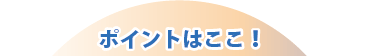 ポイントはここ