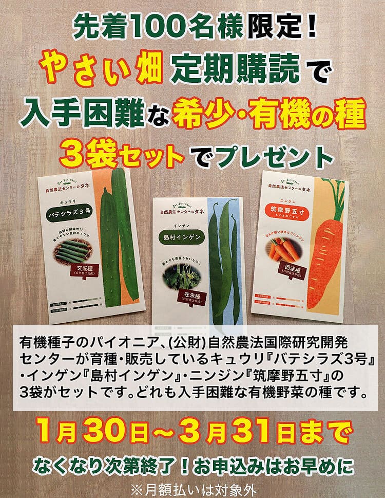 やさい畑｜特典つき定期購読 - 雑誌のFujisan