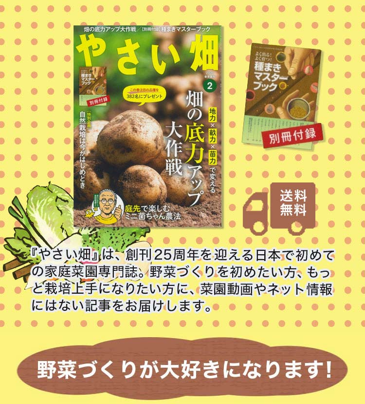 詳細