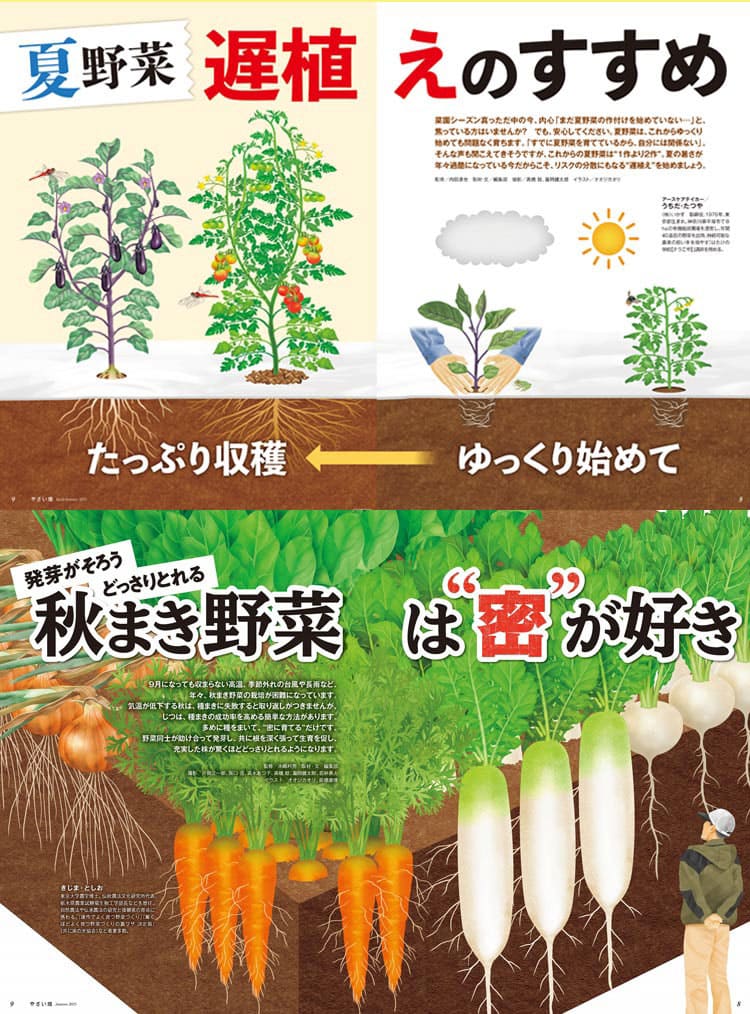 詳細