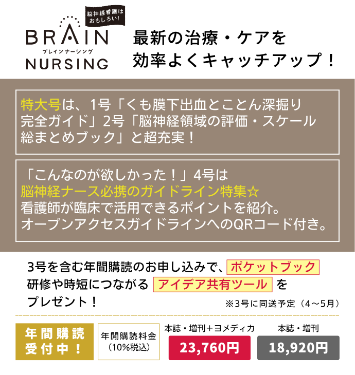 BRAIN NURSING（ブレインナーシング）の詳細