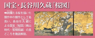 サライの最新号【2024年5月号 (発売日2024年04月09日)】| 雑誌/電子