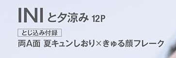 付録画像