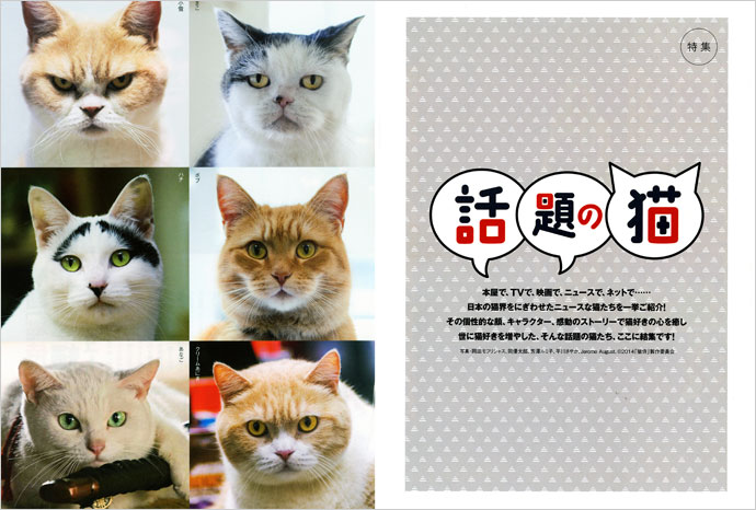猫びより ｜定期購読8%OFF - 雑誌のFujisan