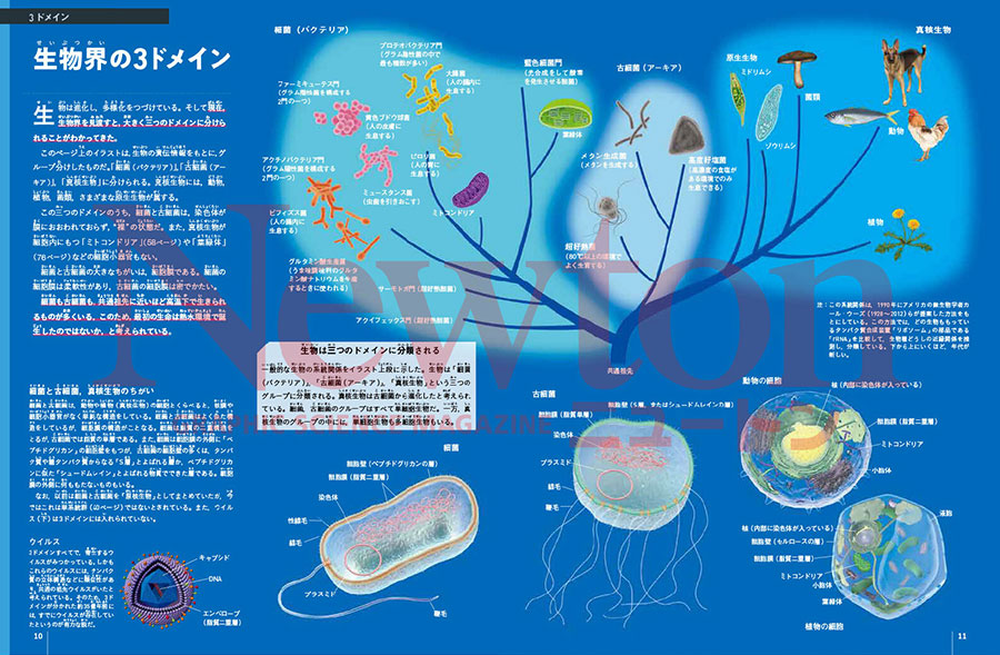 Newton別冊｜定期購読で送料無料 - 雑誌のFujisan