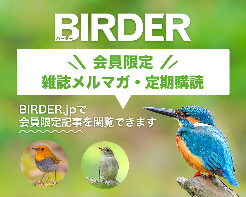 詳細