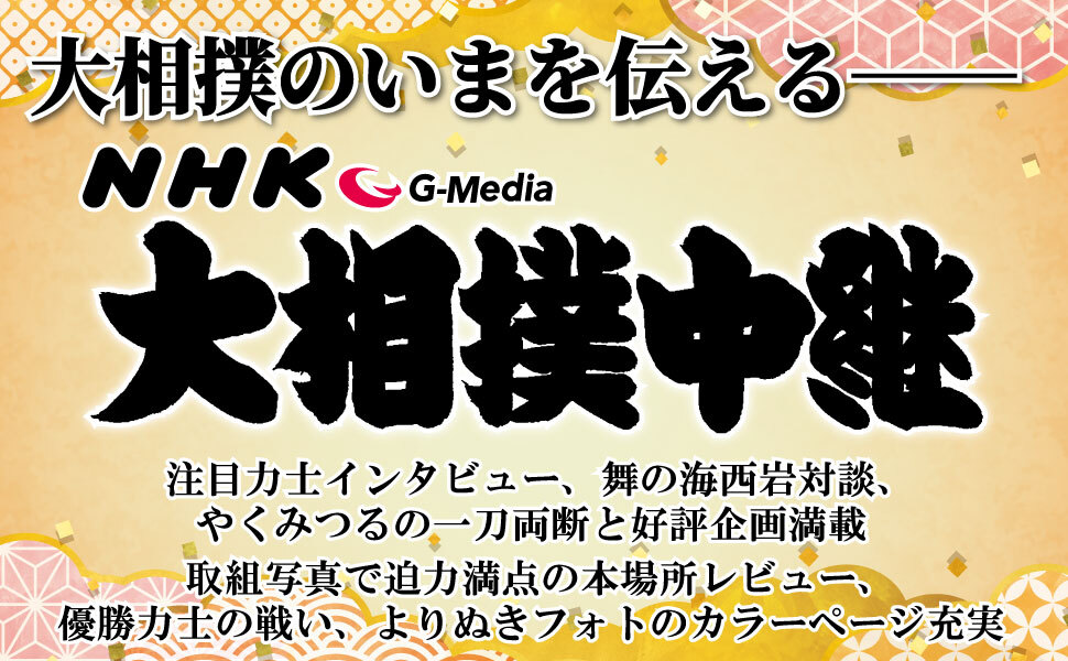 詳細画像
