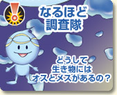 なるほど調査隊