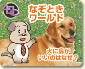 なぞときワールド