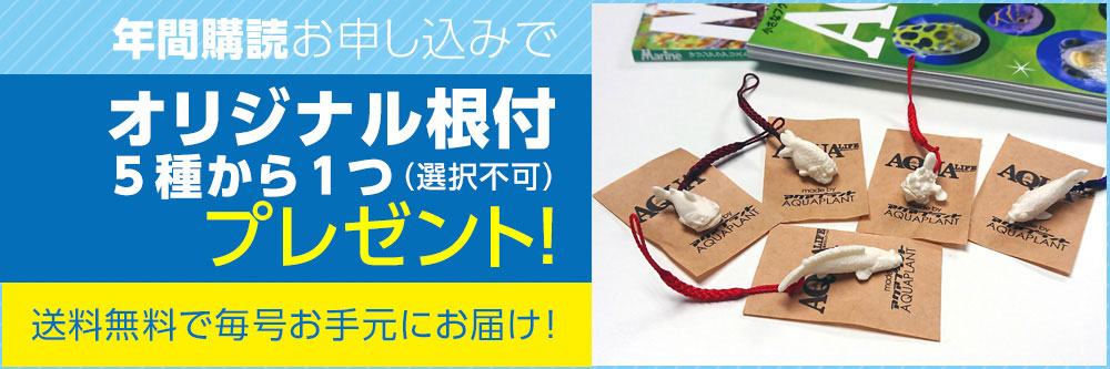 マリンアクアリスト エムピージェー 雑誌 電子書籍 定期購読の予約はfujisan