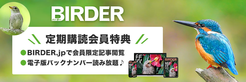 BIRDER（バーダー）　定期購読会員特典 BIRDER.jpで定期購読会員限定記事閲覧 電子版バックナンバー読み放題♪
