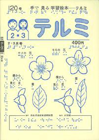 テルミ 表紙