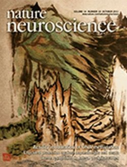 Nature Neuroscience（ネイチャーニューロサイエンス） 表紙