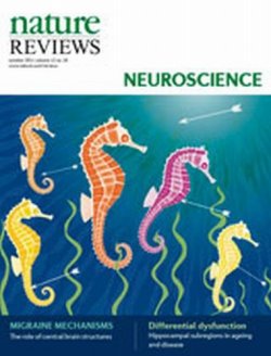 Nature Reviews Neuroscience（ネイチャーレビューズニューロサイエンス） 表紙