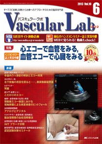 Vascular Lab（バスキュラー・ラボ） 表紙