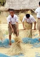 地球市民の会（会員） 表紙