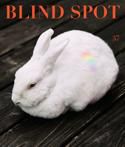 BLIND SPOT (ブラインド・スポット) 表紙