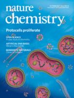 Nature Chemistry（ネイチャーケミストリー） 表紙