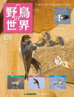 野鳥の世界｜定期購読 - 雑誌のFujisan