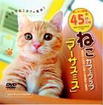 ねこカフェクラブ 表紙