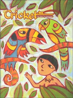 CRICKET 表紙