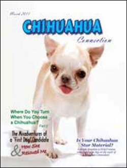 CHIHUAHUA CONNECTION 表紙