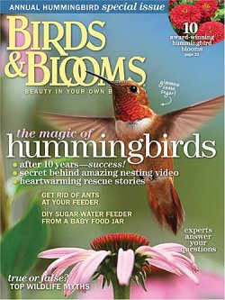 BIRDS AND BLOOMS 表紙