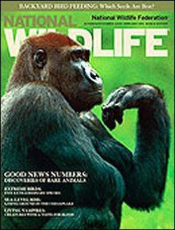 NATIONAL WILDLIFE 表紙