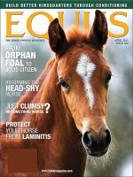 EQUUS 表紙