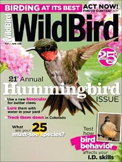 WILDBIRD 表紙