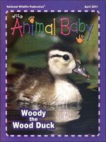 WILD ANIMAL BABY 表紙