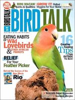 BIRD TALK 表紙