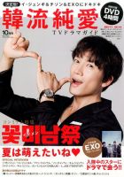 決定版 ! 韓流純愛TVドラマガイド