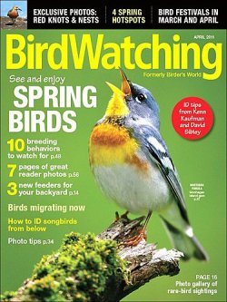 BIRDWATCHING 表紙