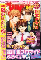 JUNK ! BOY （ジャンクボーイ） 表紙