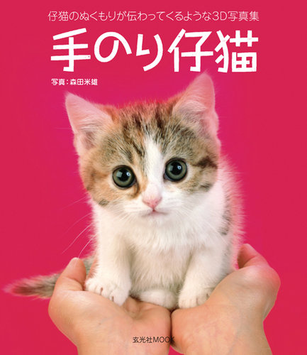 子猫の大行進 写真集 1281694922_l.jpg