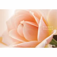 フローリスト・ミニフォトブック（フローリスト2013年5月号付録）