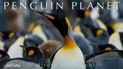 PENGUIN PLANET 表紙