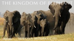 THE KINGDOM OF ELEPHANT 表紙
